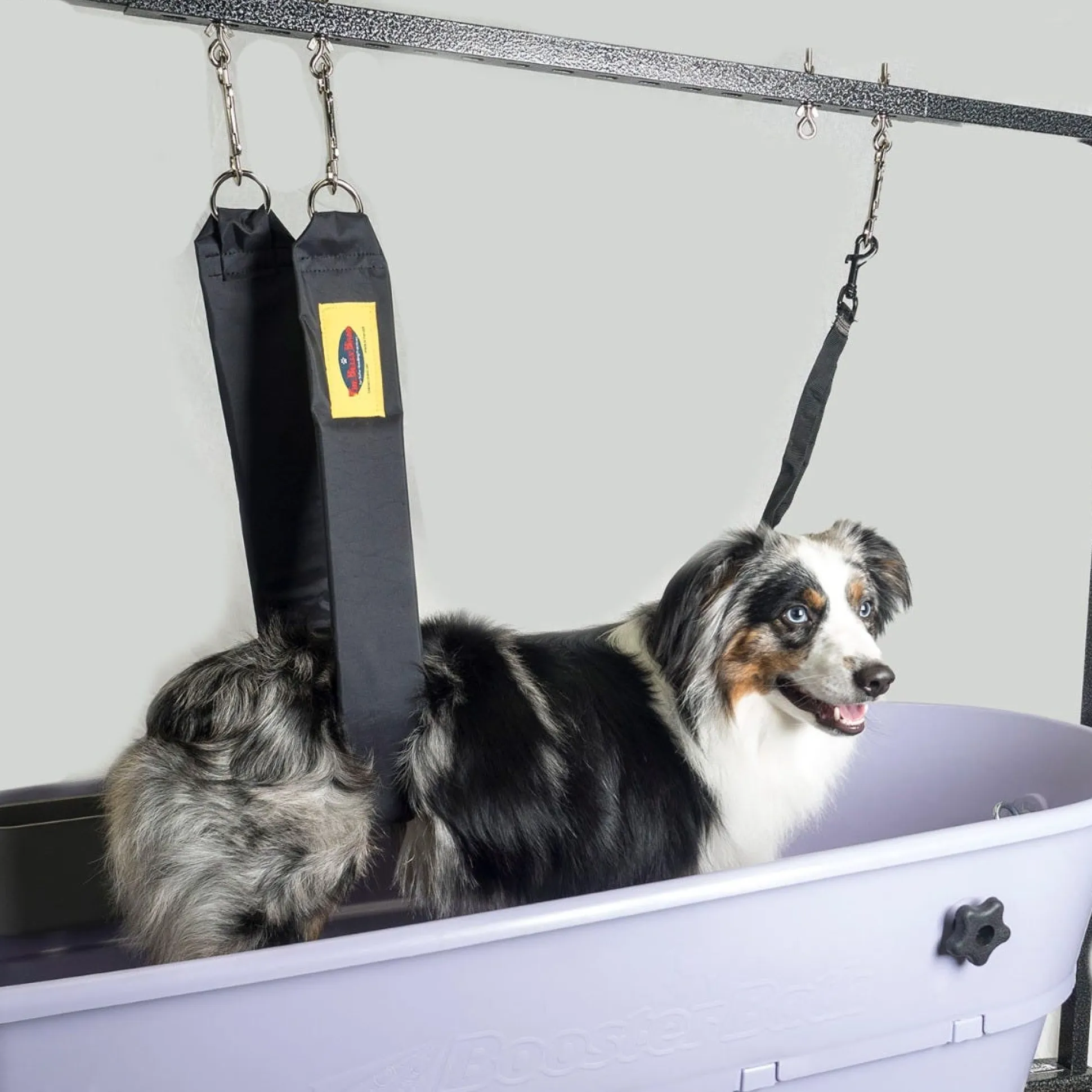 Grooming Safety by Jessica - The Belly Band