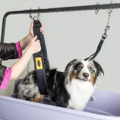 Grooming Safety by Jessica - The Belly Band