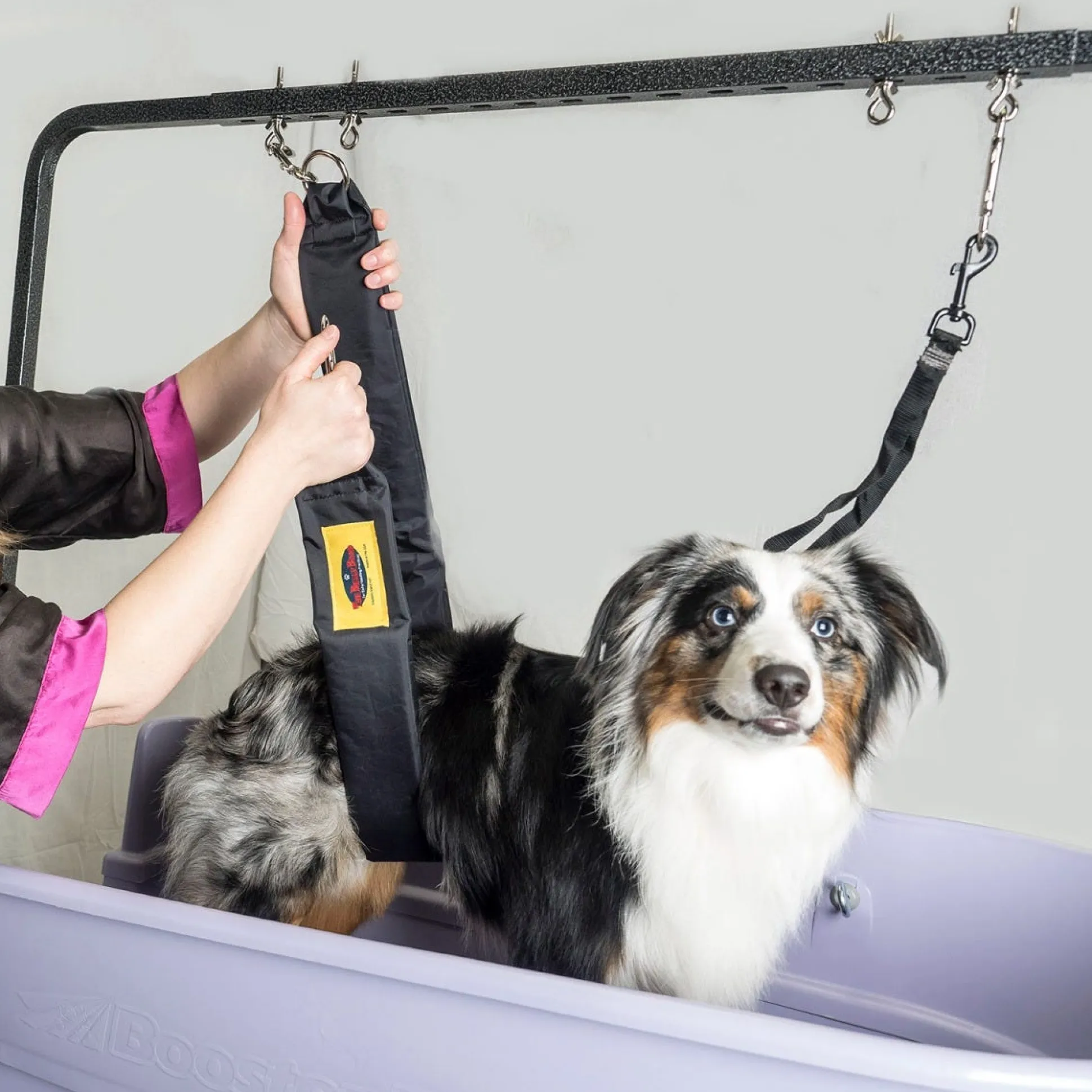 Grooming Safety by Jessica - The Belly Band