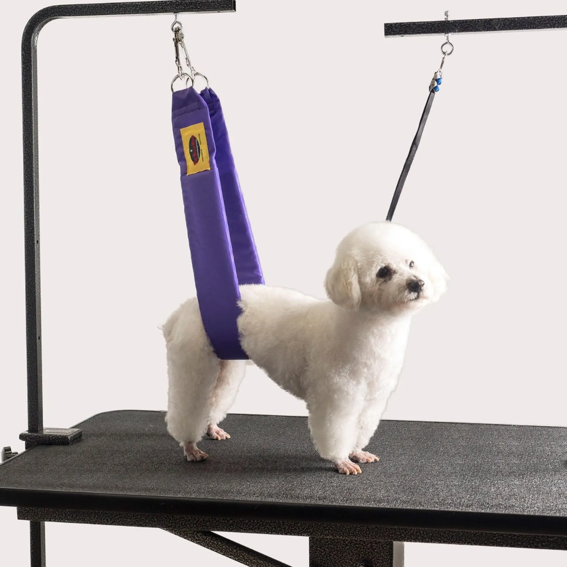 Grooming Safety by Jessica - The Belly Band