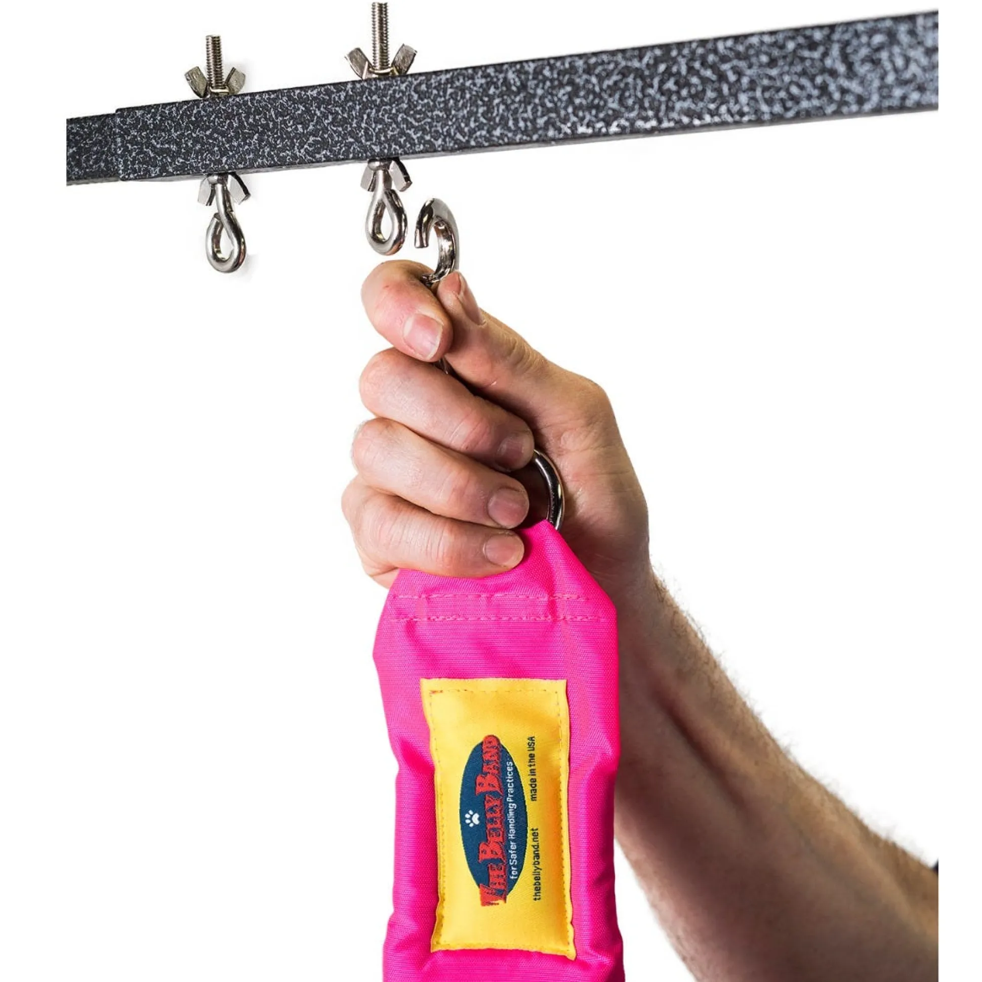Grooming Safety by Jessica - The Belly Band