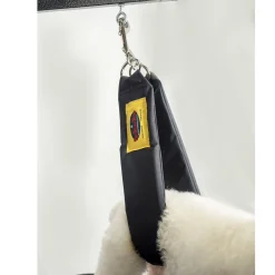 Grooming Safety by Jessica - The Belly Band
