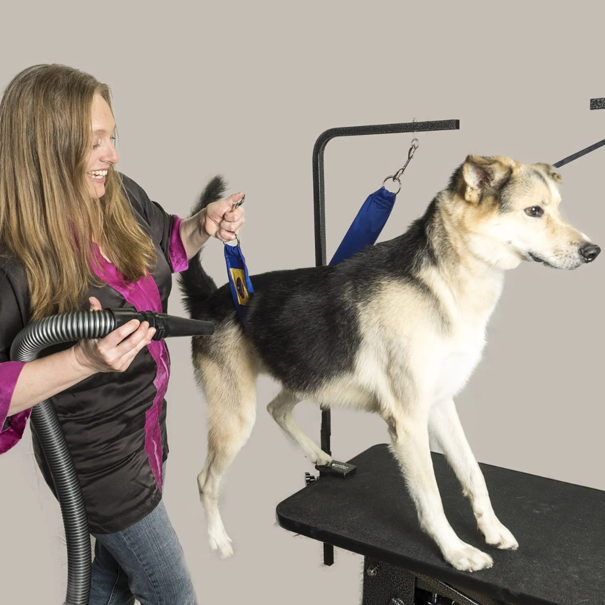 Grooming Safety by Jessica - The Belly Band