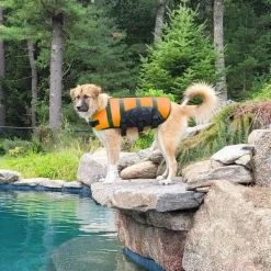 Guardian Gear Aquatic Pet Preservers