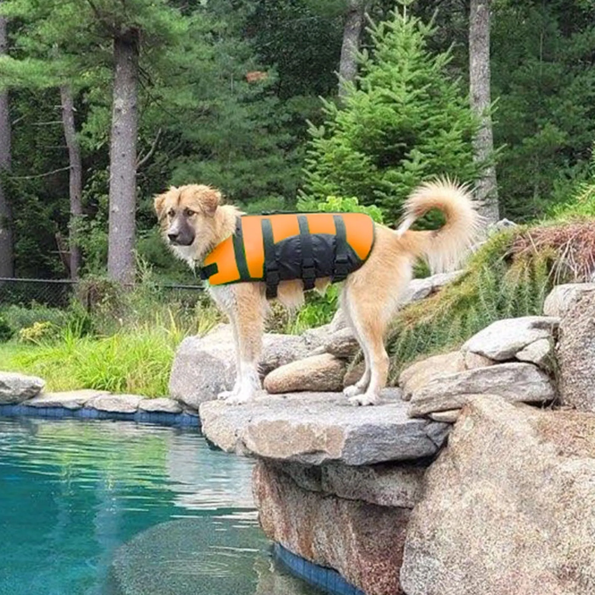 Guardian Gear Aquatic Pet Preservers