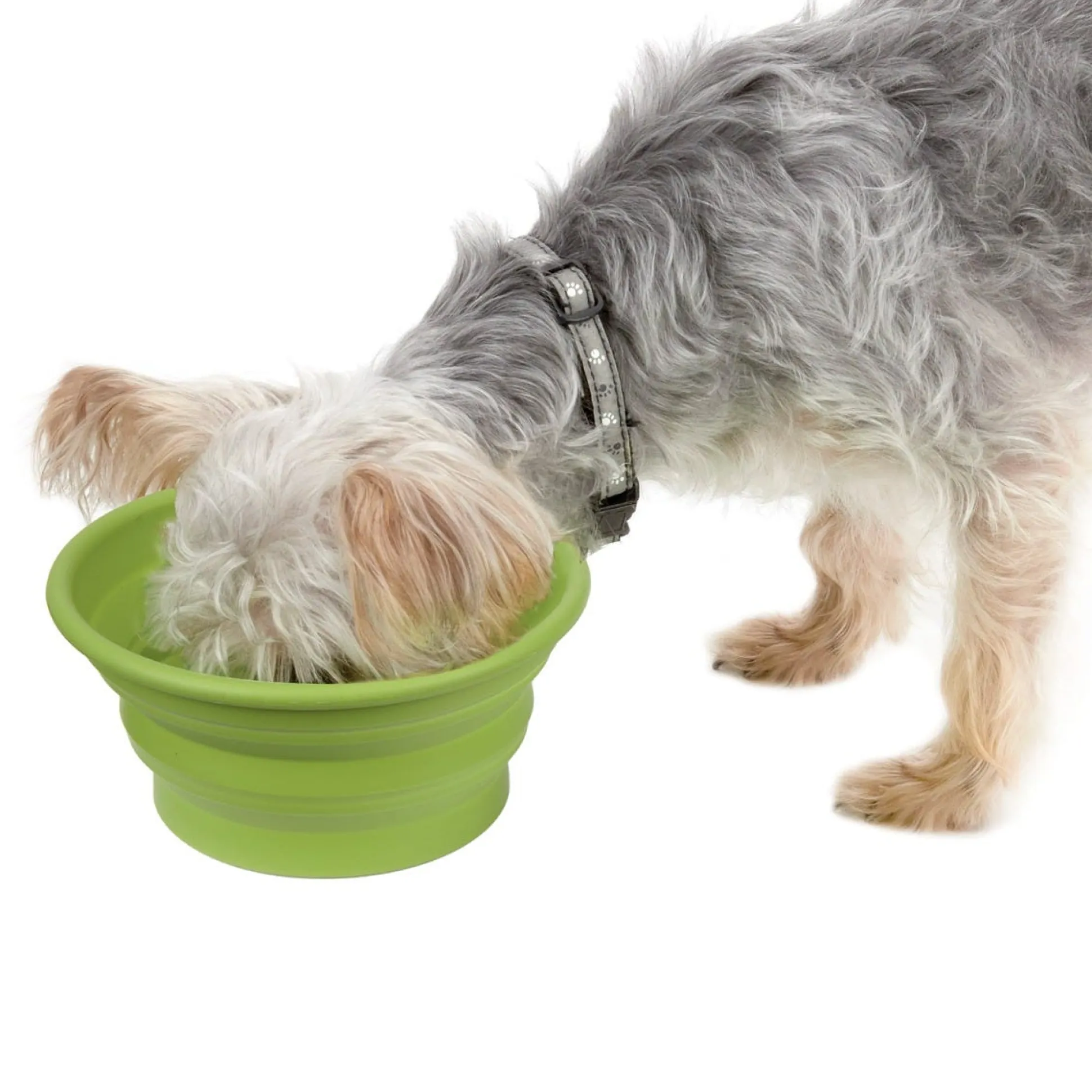 Guardian Gear Bend-a-Bowls