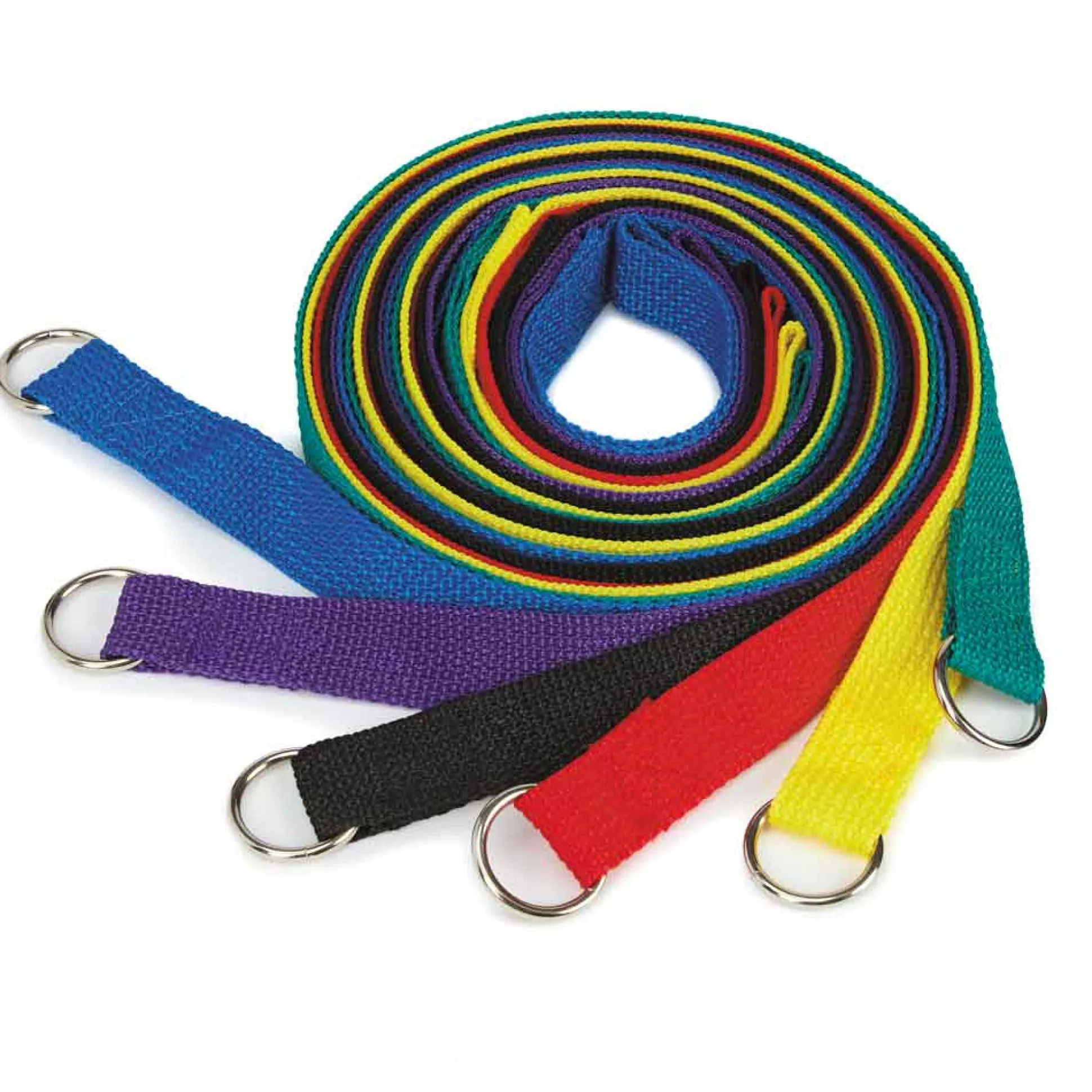 Guardian Gear Kennel Leads 6 Ft