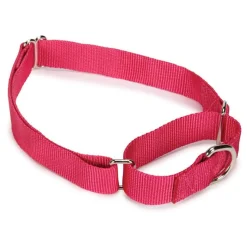 Guardian Gear Nylon Martingale Dog Collars