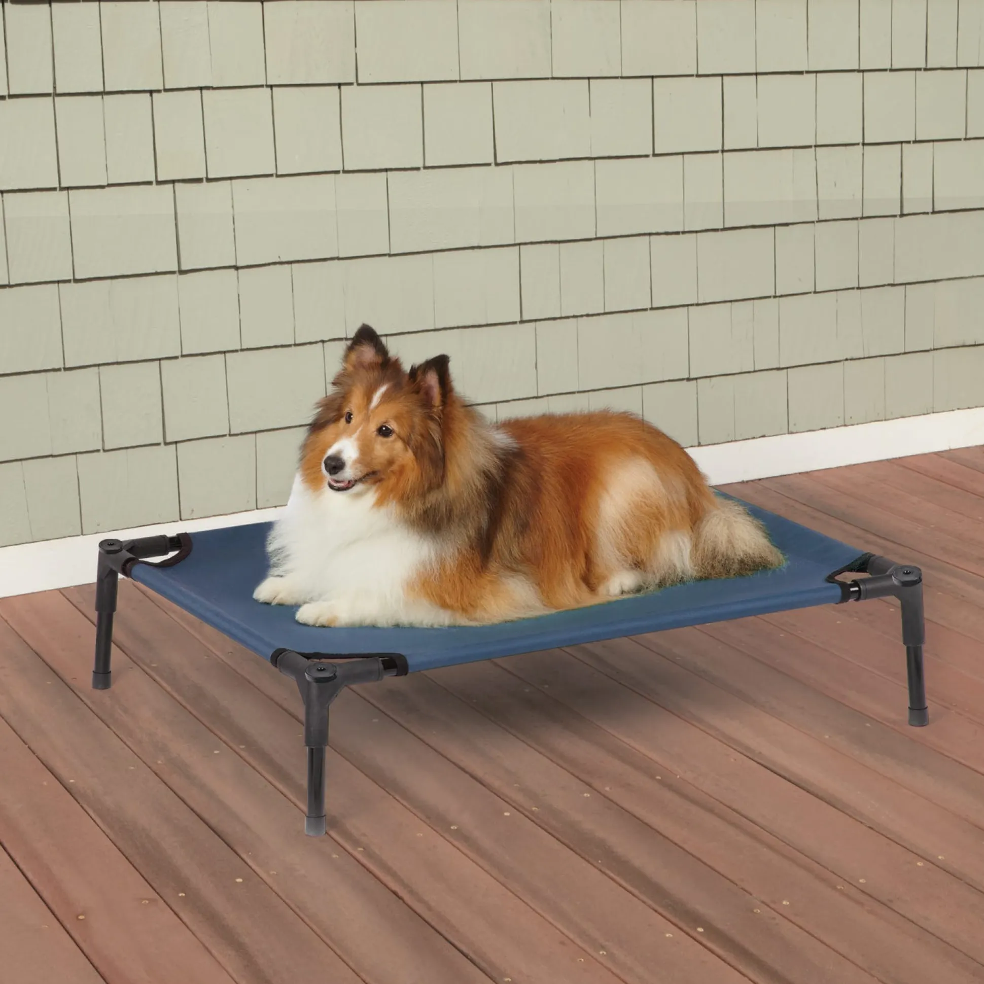 Guardian Gear Pet Cot Blue M