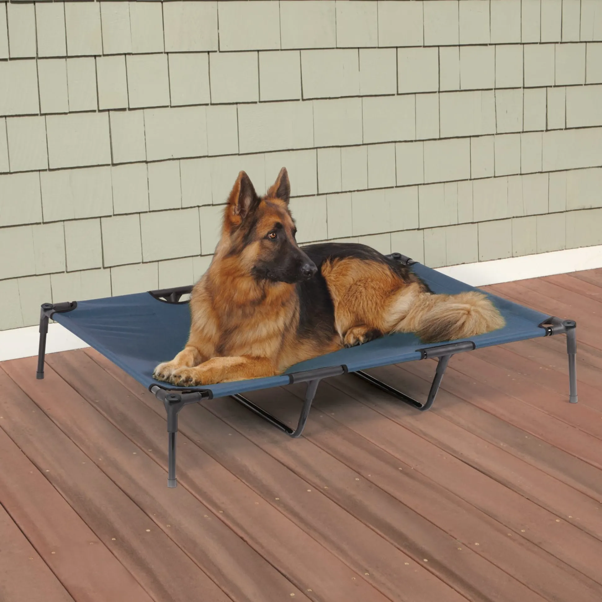 Guardian Gear Pet Cot Blue XL