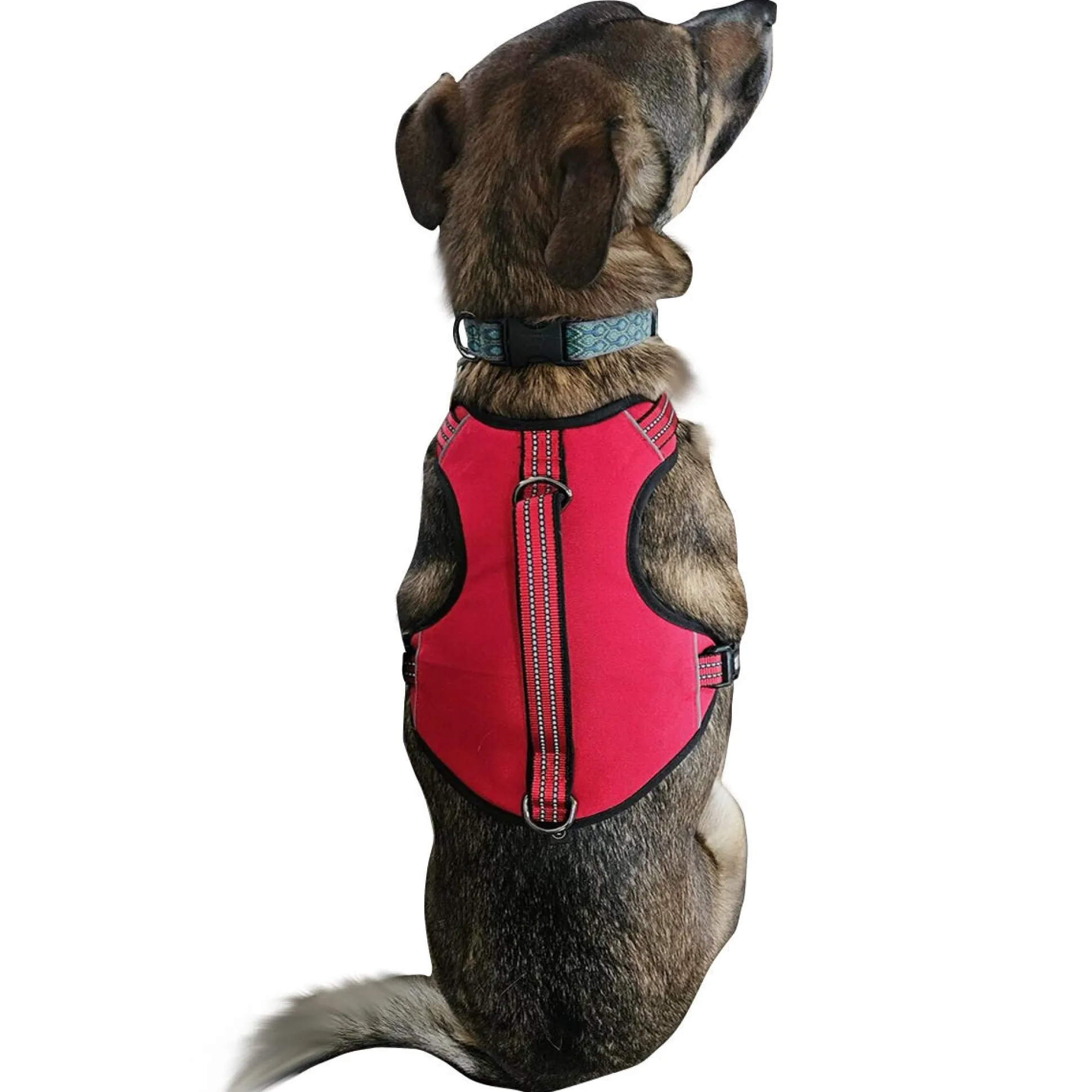 Guardian Gear Reflective Nylon Harnesses