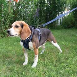 Guardian Gear Reflective Nylon Harnesses