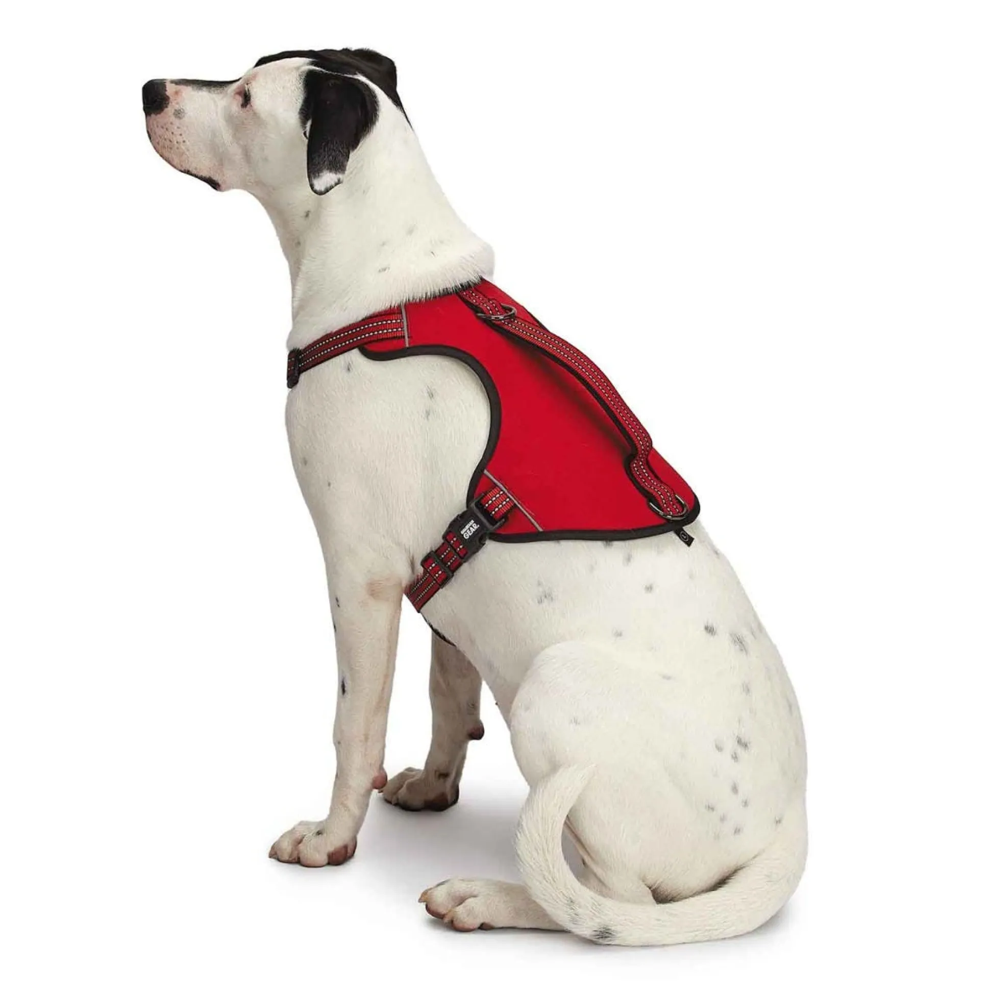 Guardian Gear Reflective Nylon Harnesses