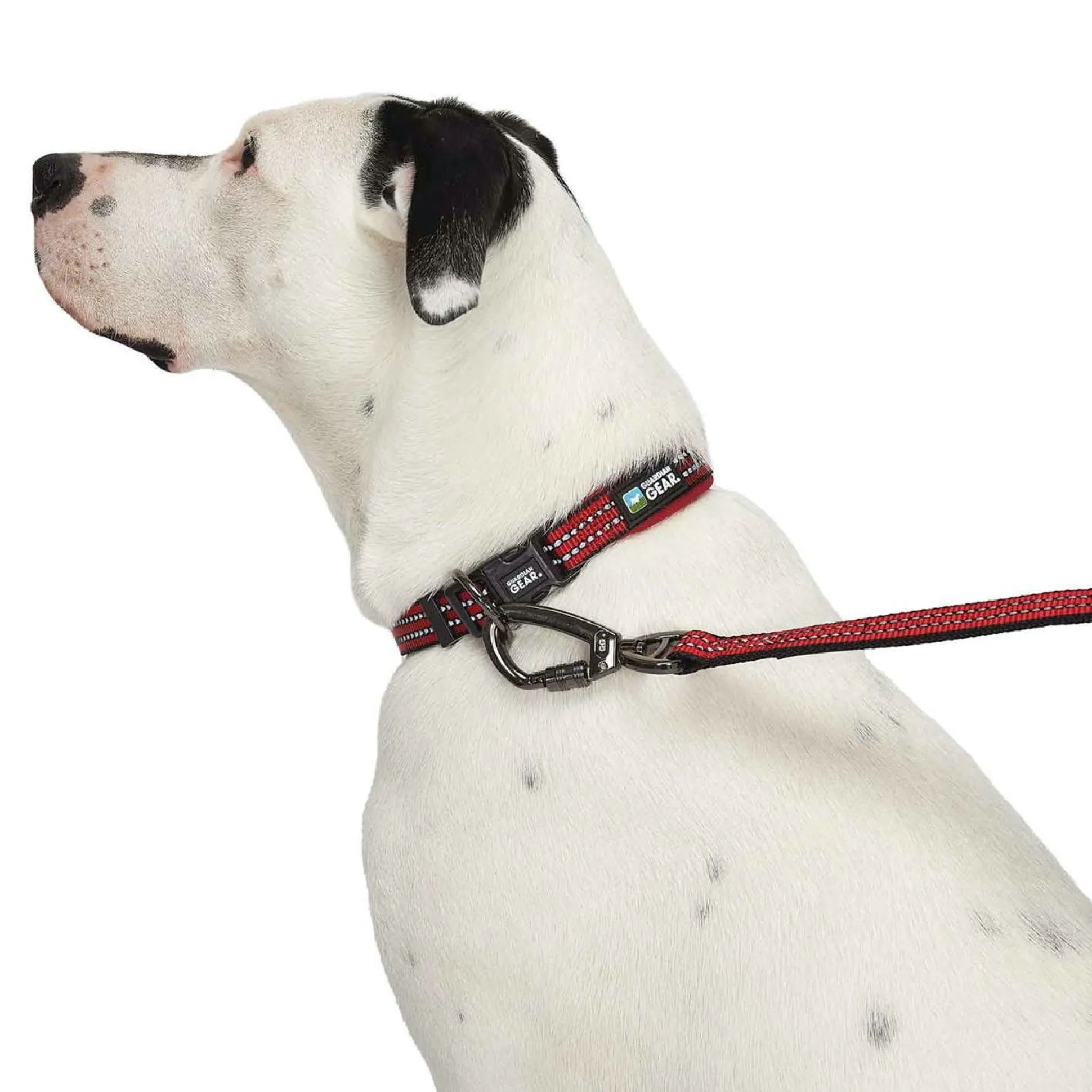 Guardian Gear Reflective Nylon O-Ring Collars