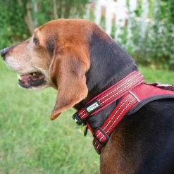 Guardian Gear Reflective Nylon O-Ring Collars