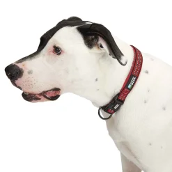 Guardian Gear Reflective Nylon O-Ring Collars