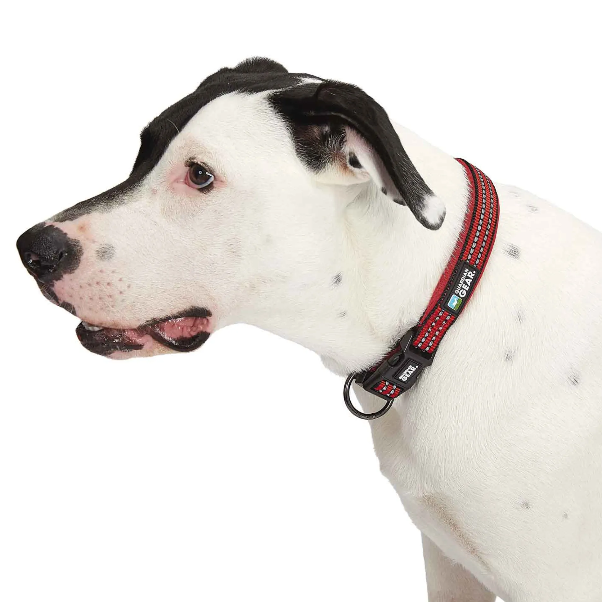 Guardian Gear Reflective Nylon O-Ring Collars