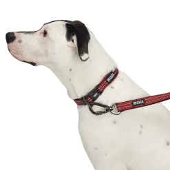 Guardian Gear Reflective Nylon O-Ring Collars