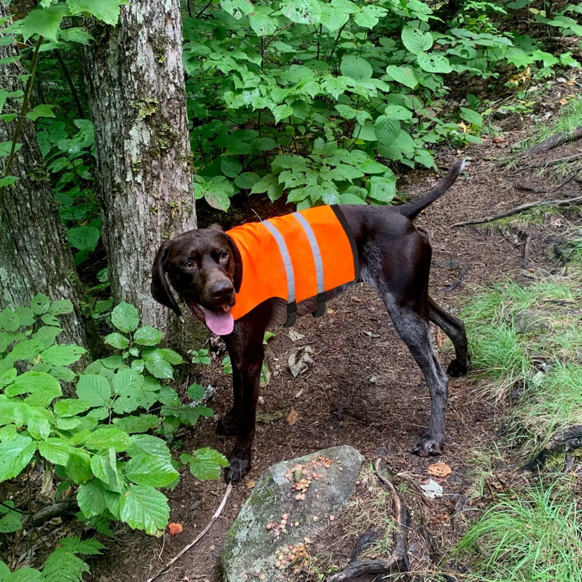 Guardian Gear Safety Vests
