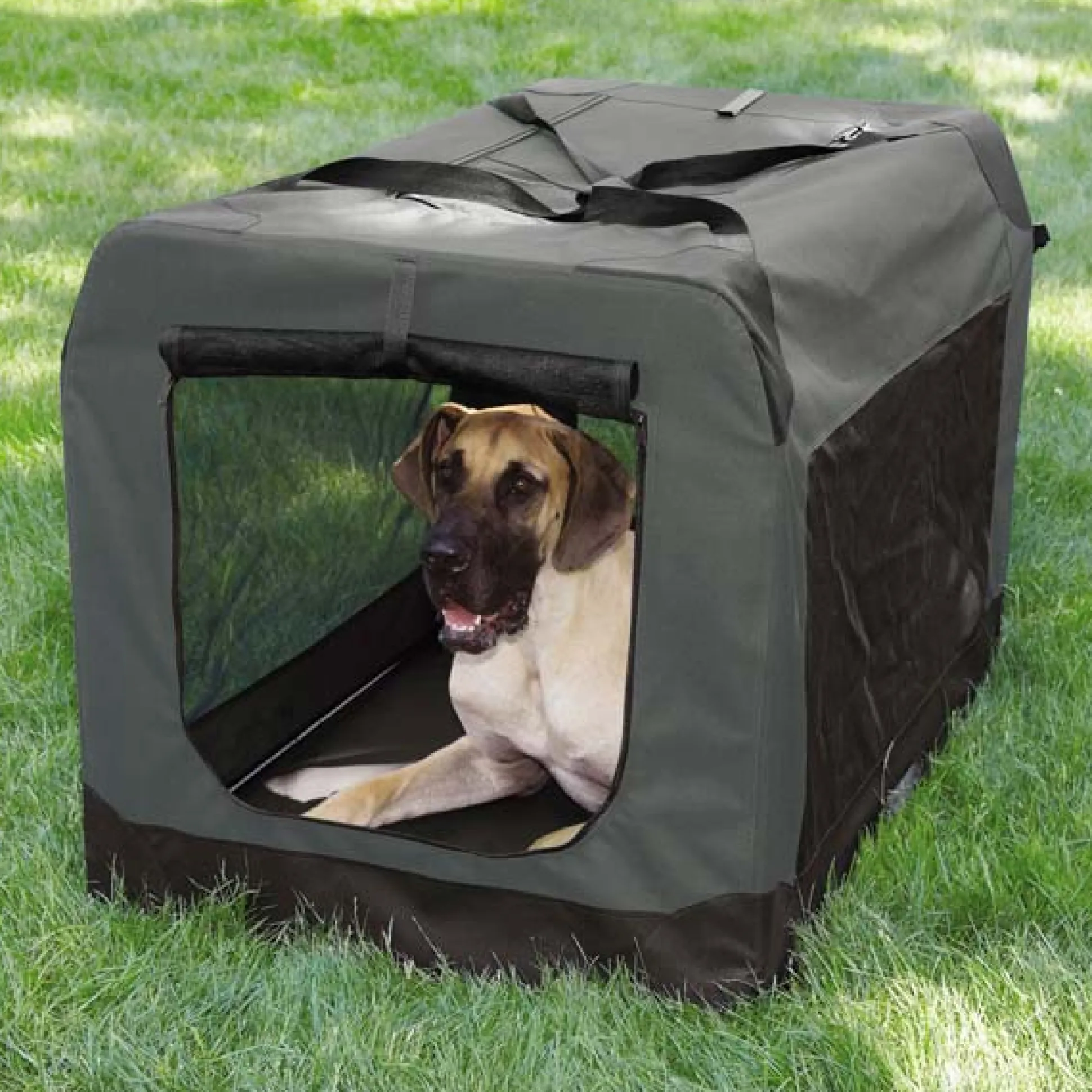 Guardian Gear Soft-Sided Collapsible Dog Crates