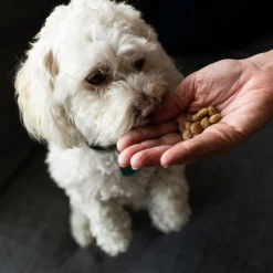 Houndations Training Treats