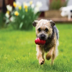 KONG Hard Rubber Dog Toys