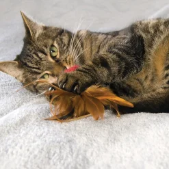 KONG Naturals Cat Toys & Catnip