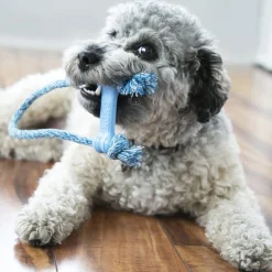 KONG Puppy Goodie Bone with Rope