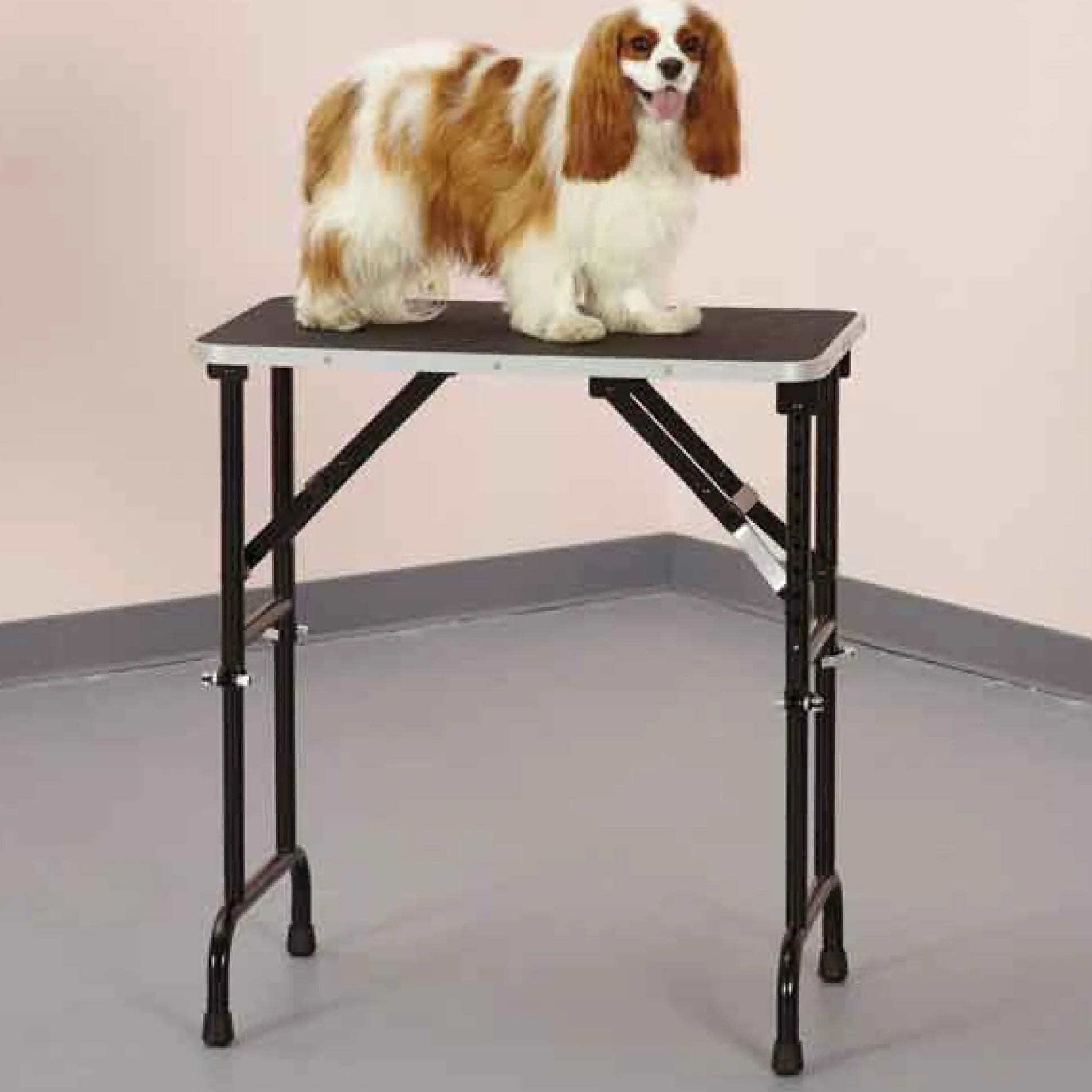 Master Equipment Adjustable Height Dog Grooming Tables