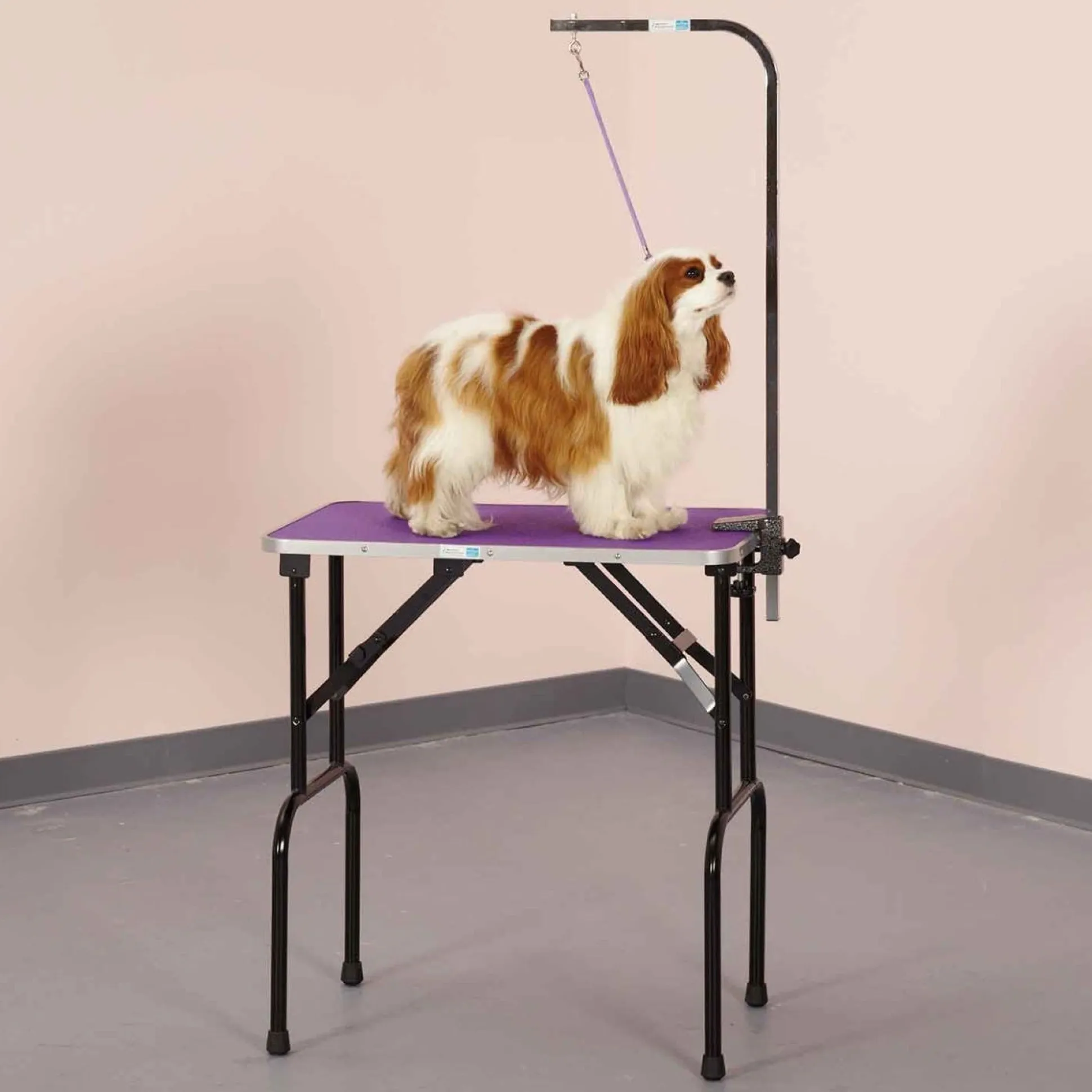 Master Equipment Dog Grooming Table w/36In Arm 30x18In Purple