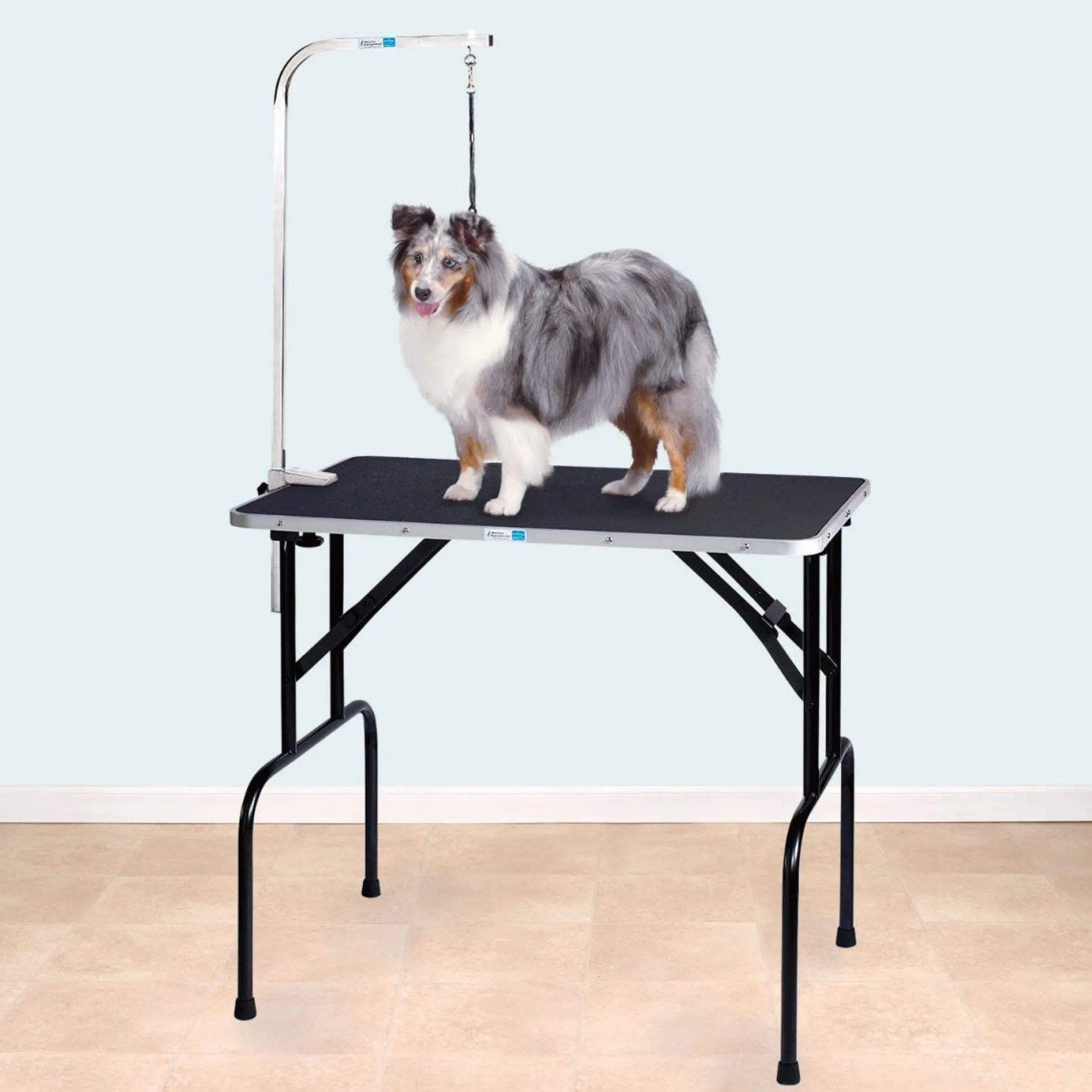 Master Equipment Dog Grooming Table with Arm 30x18x32In
