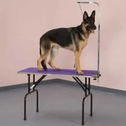 Master Equipment Folding Dog Grooming Tables