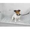 Master Equipment Raised Dog Grooming Tub Rack