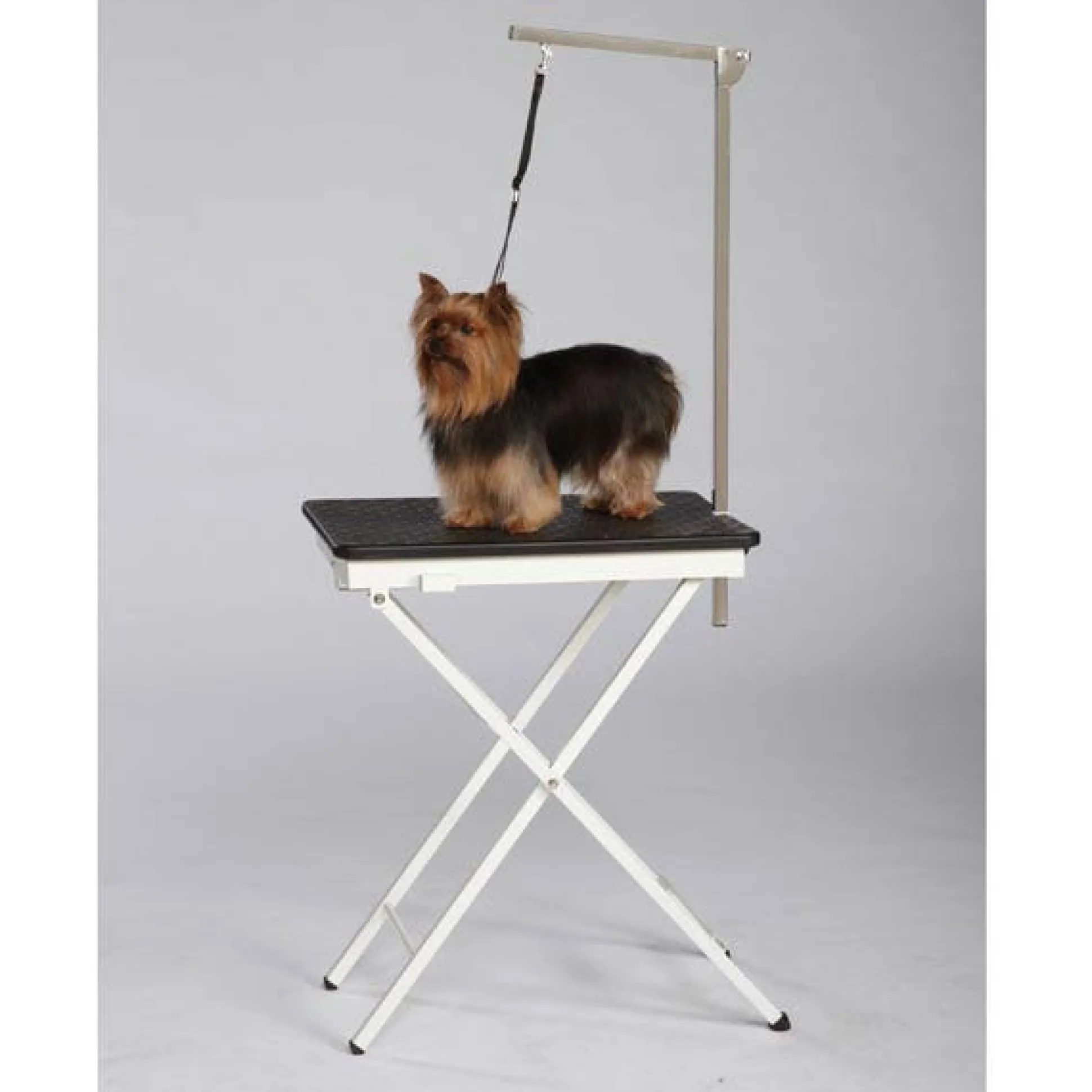 Master Equipment Versa Competition Dog Grooming Tables
