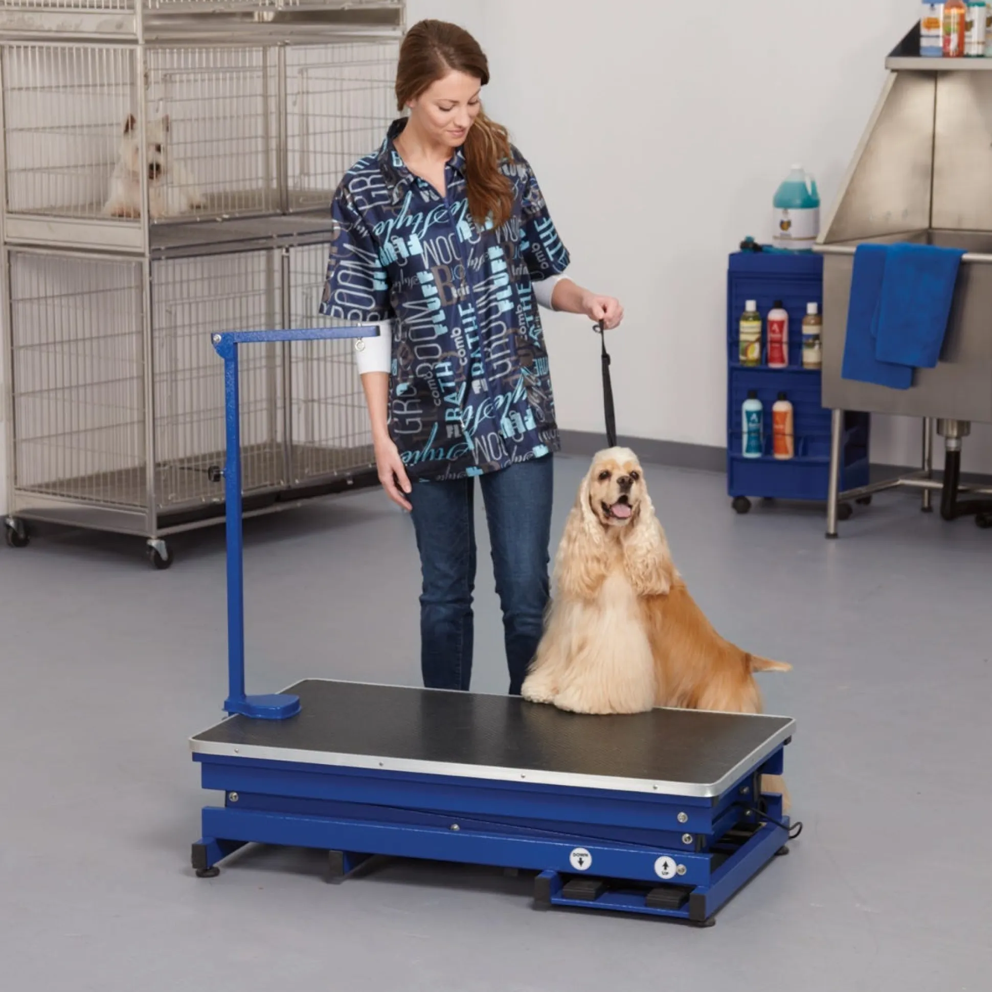 Master Equipment X-Tend Electric Dog Grooming Table