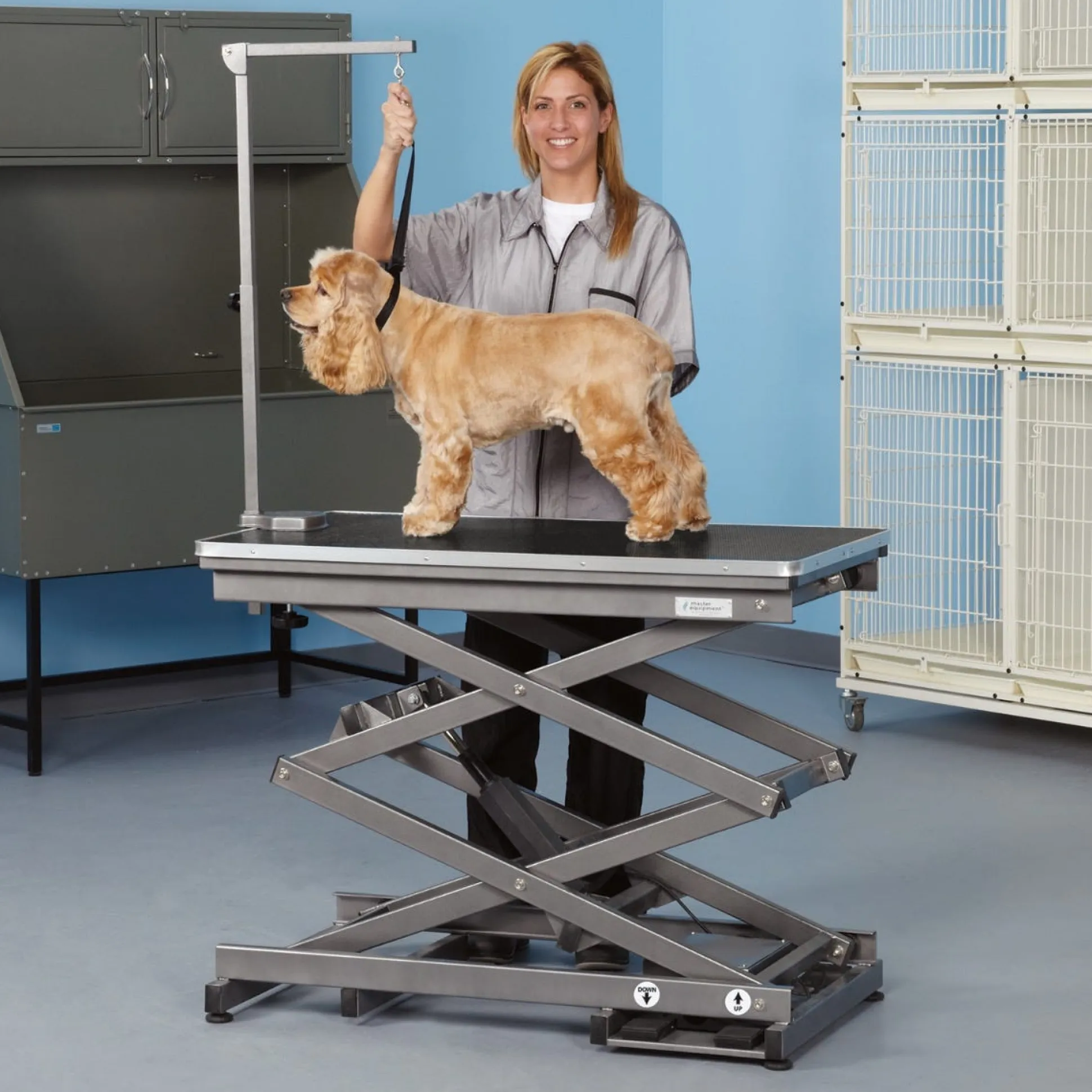 Master Equipment X-Tend Electric Dog Grooming Table