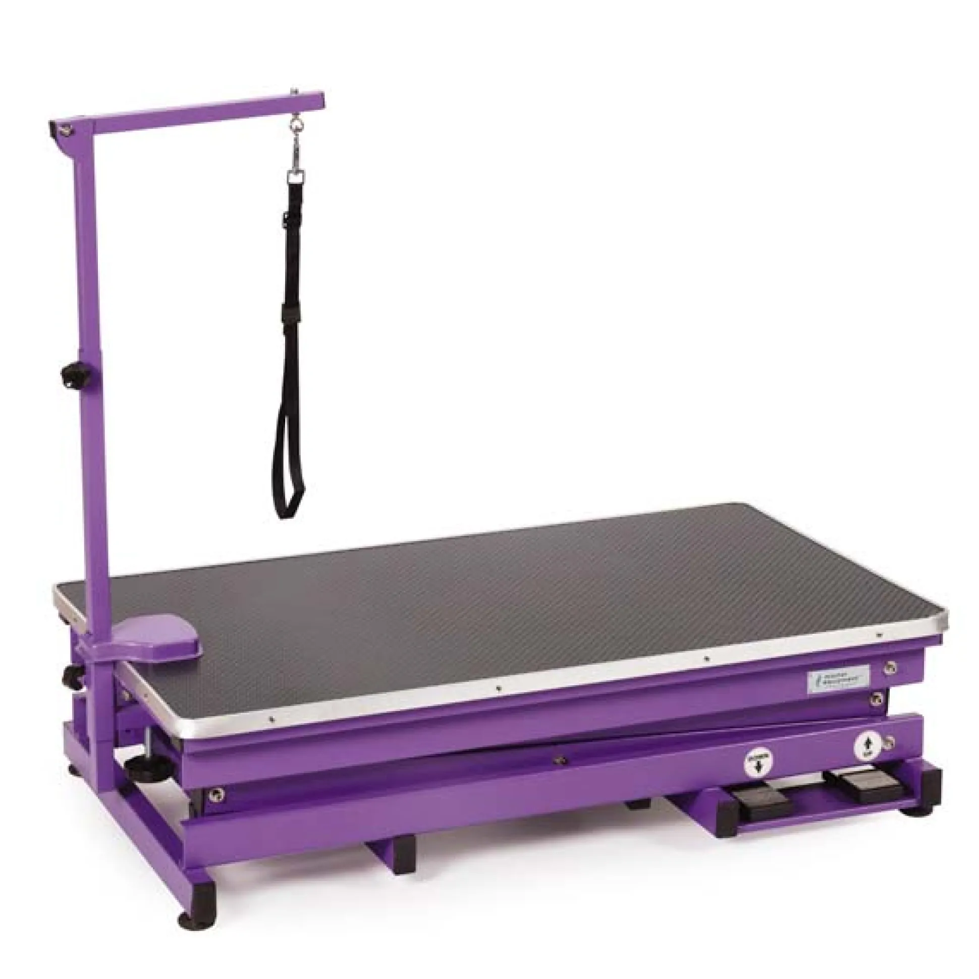 Master Equipment X-Tend Electric Dog Grooming Table