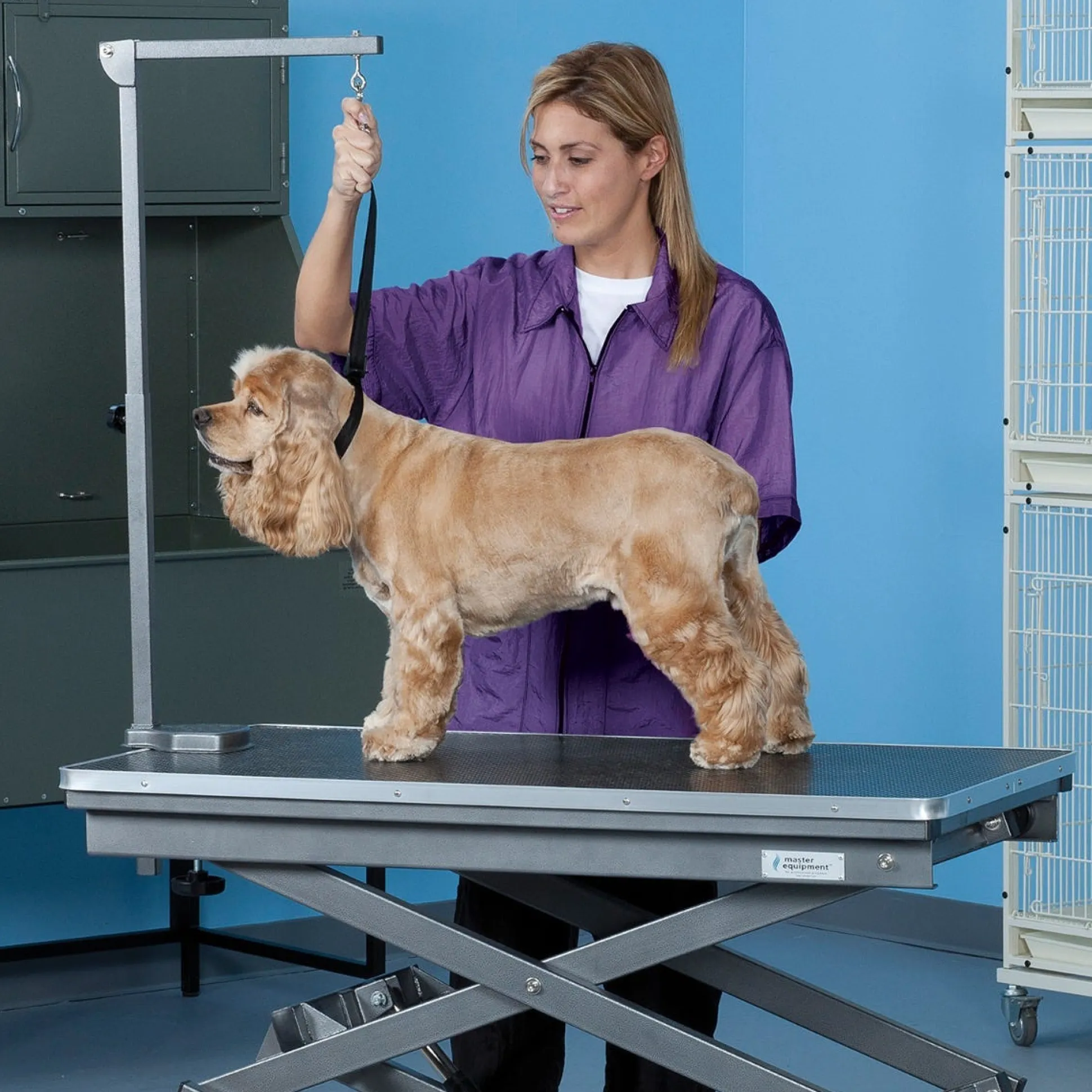 Master Equipment X-Tend Electric Dog Grooming Table