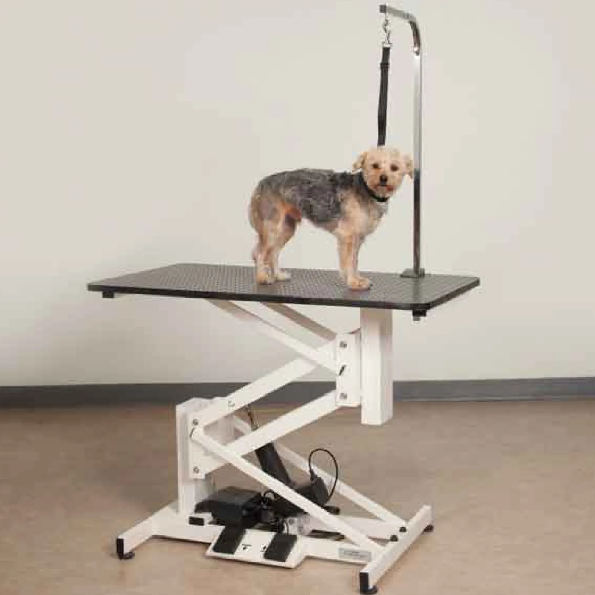 Master Equipment Z-Lift II Electric Dog Grooming Tables