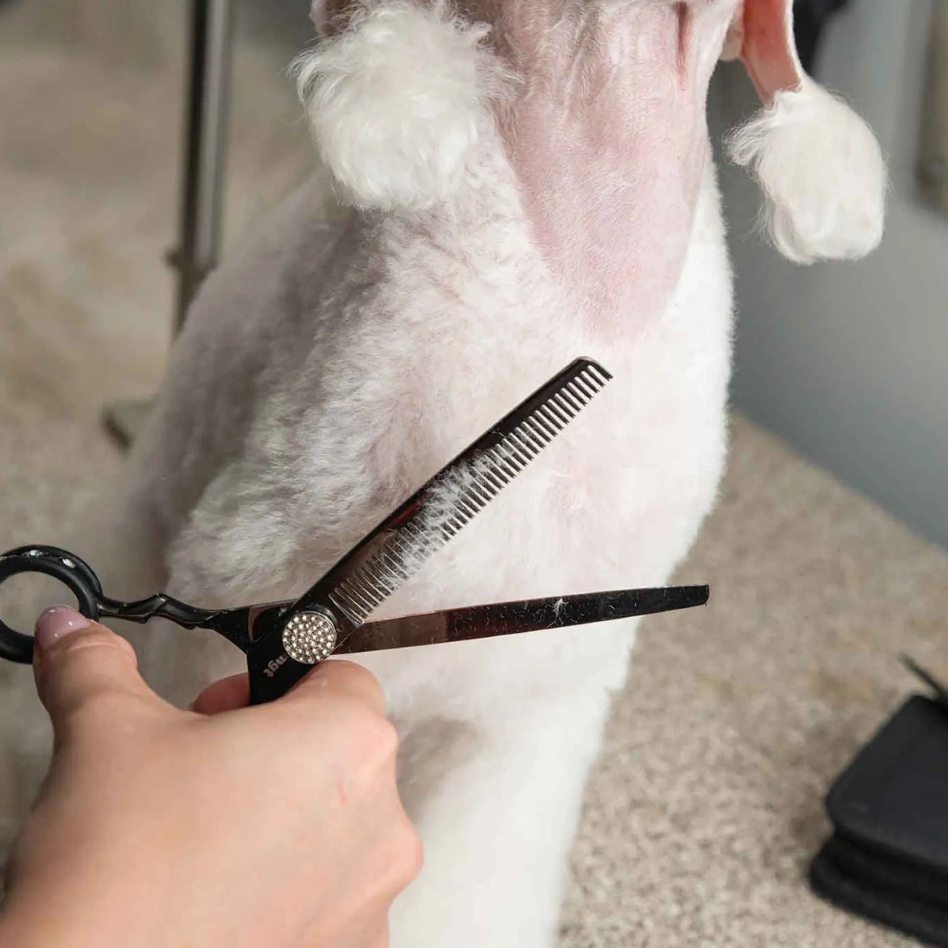 Master Grooming Tools Mushu Shears, 42-Tooth 6.5" Thinners