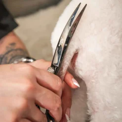 Master Grooming Tools Mushu Shears, Curved 7in