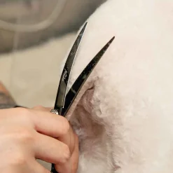 Master Grooming Tools Mushu Shears, Curved 7in
