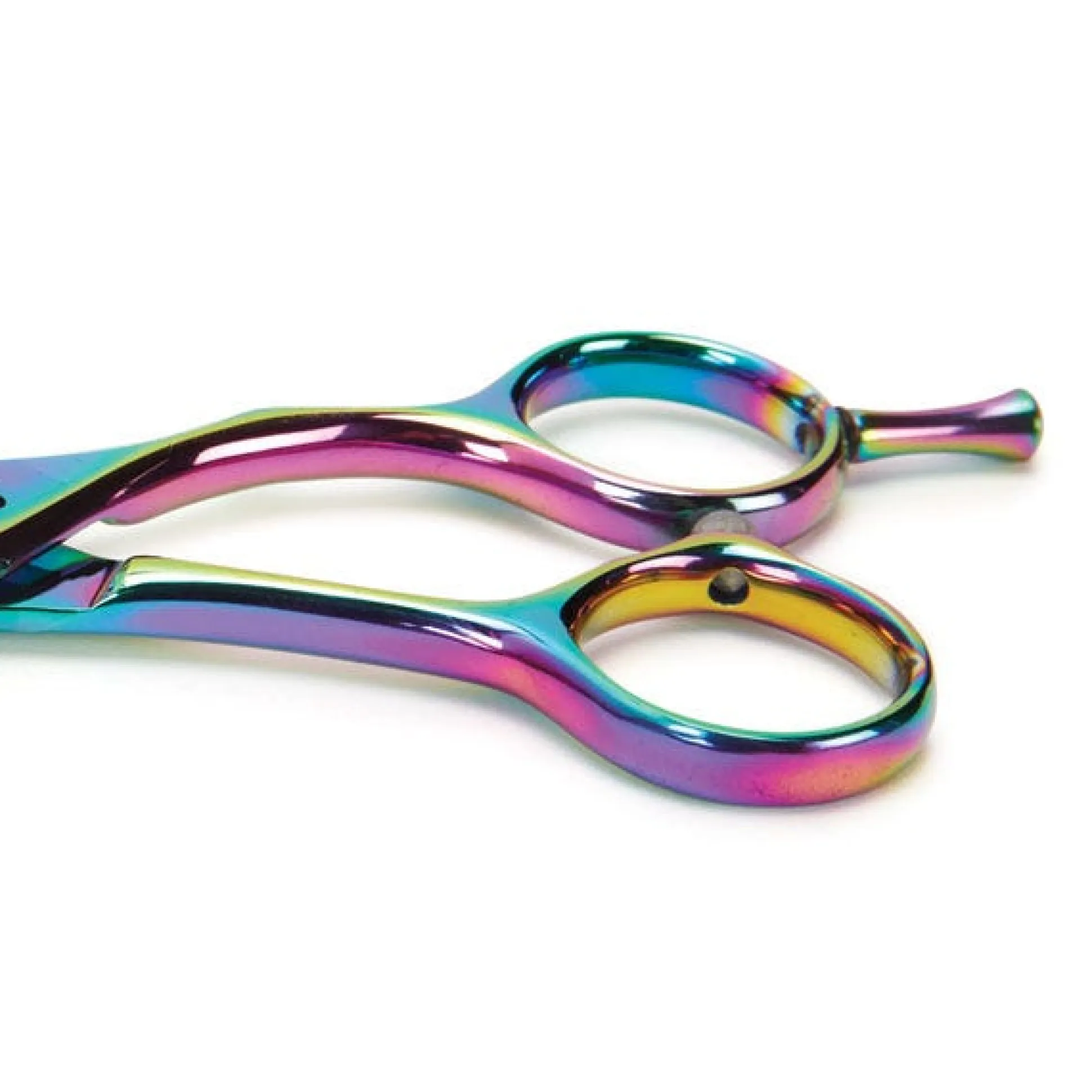 Master Grooming Tools 5200 Rainbow Series Curved Shears