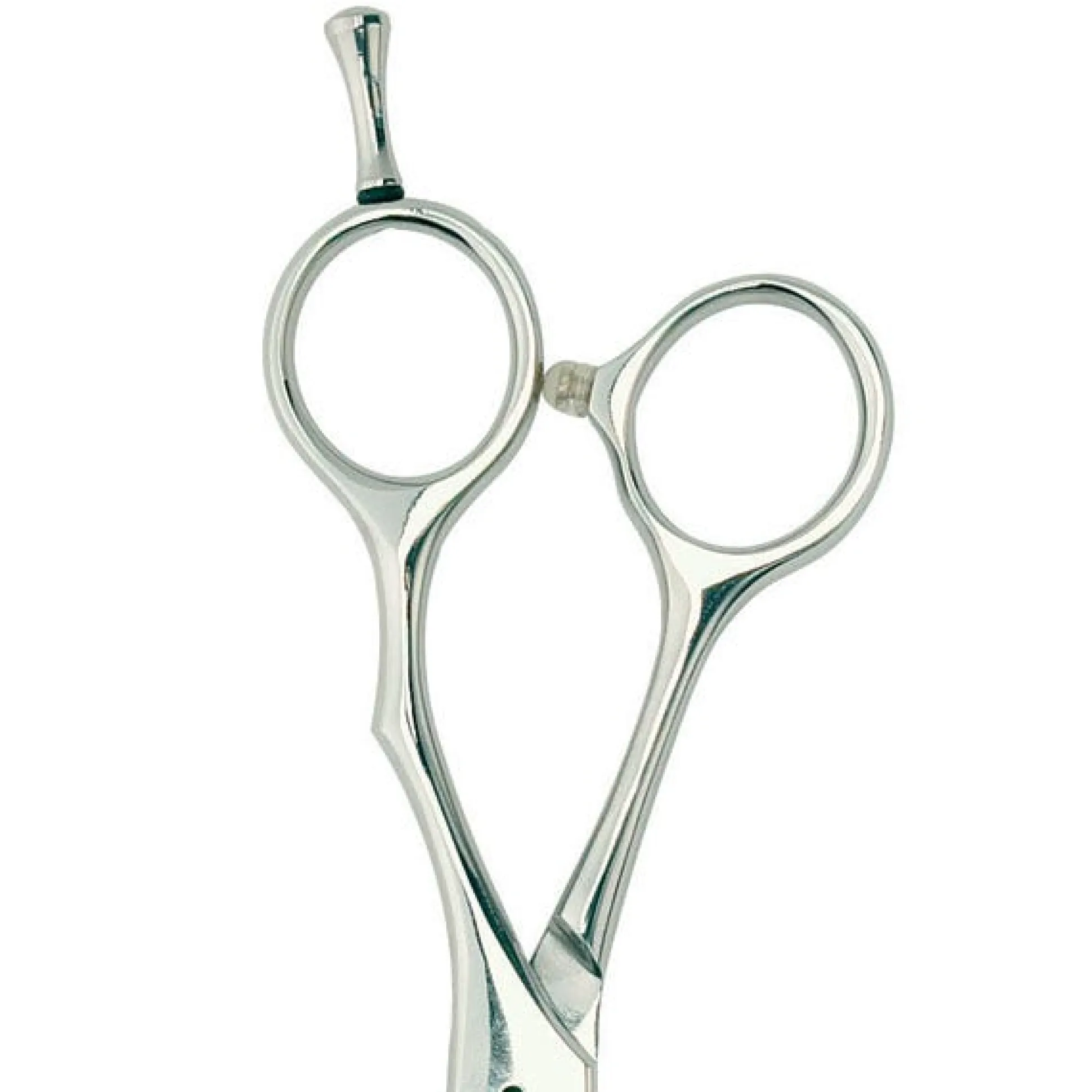 Master Grooming Tools 5200 Series Straight Shears