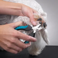 Master Grooming Tools Small Teal Ergonomic Dog Nail Clippers