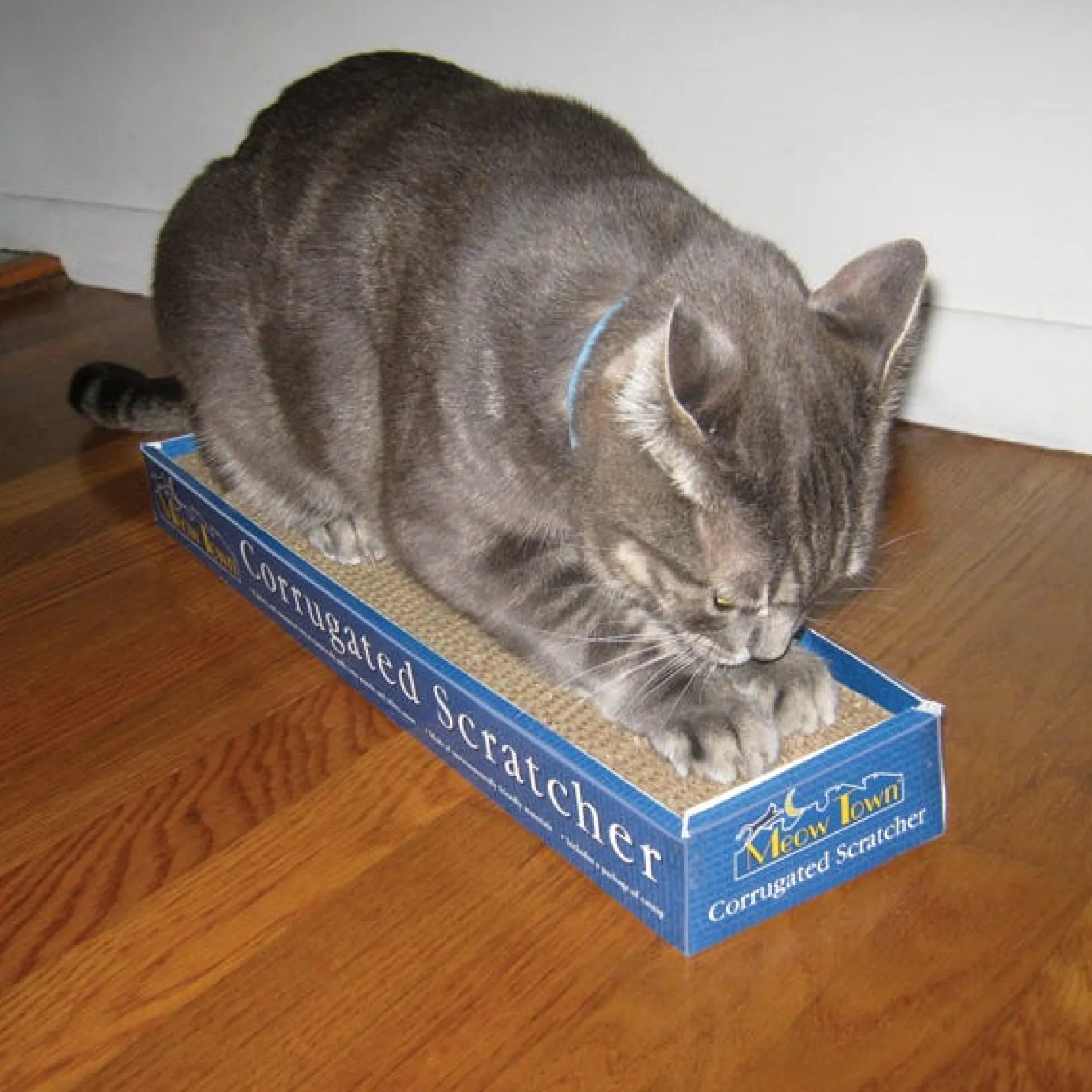 Meow Town Corrugated Scratcher