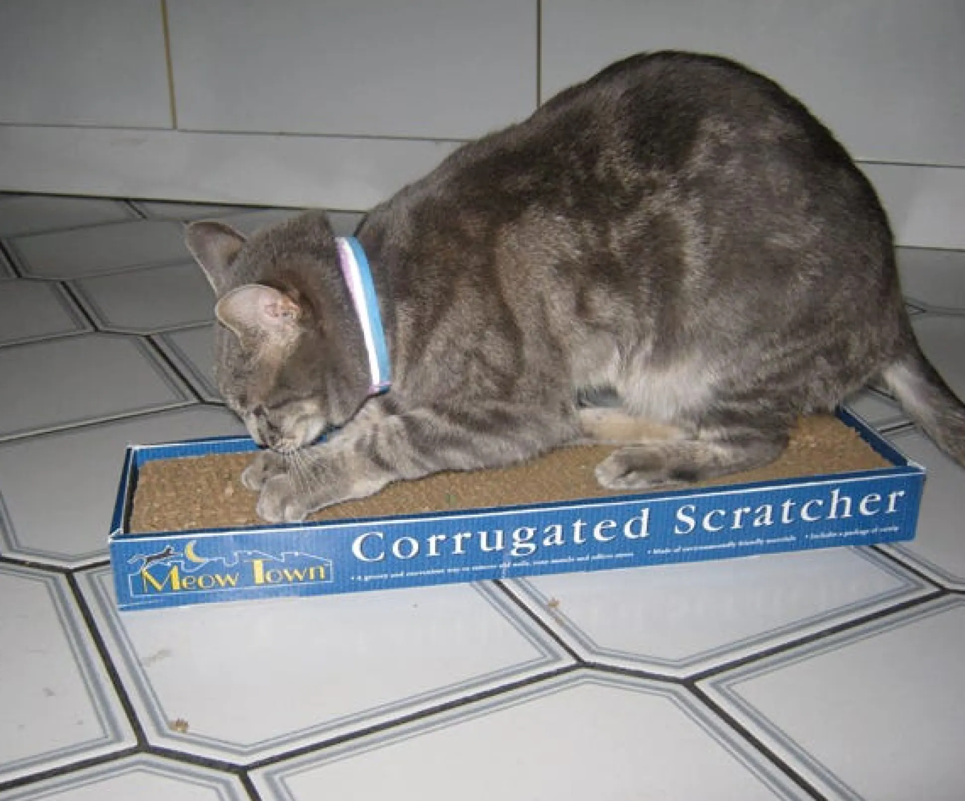 Meow Town Corrugated Scratcher