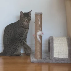 Meow Town Paw Bridge & Scratcher Pole