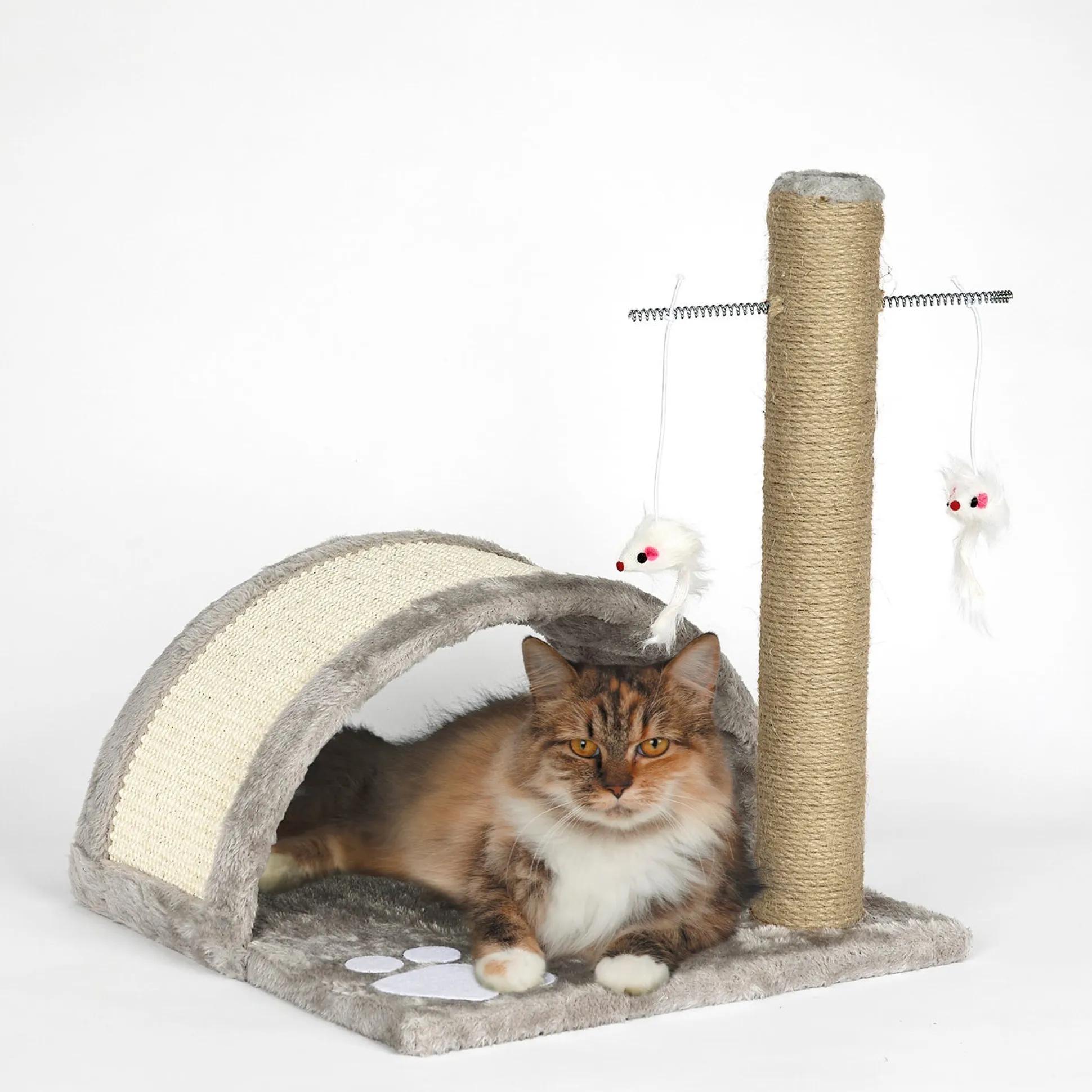 Meow Town Paw Bridge & Scratcher Pole