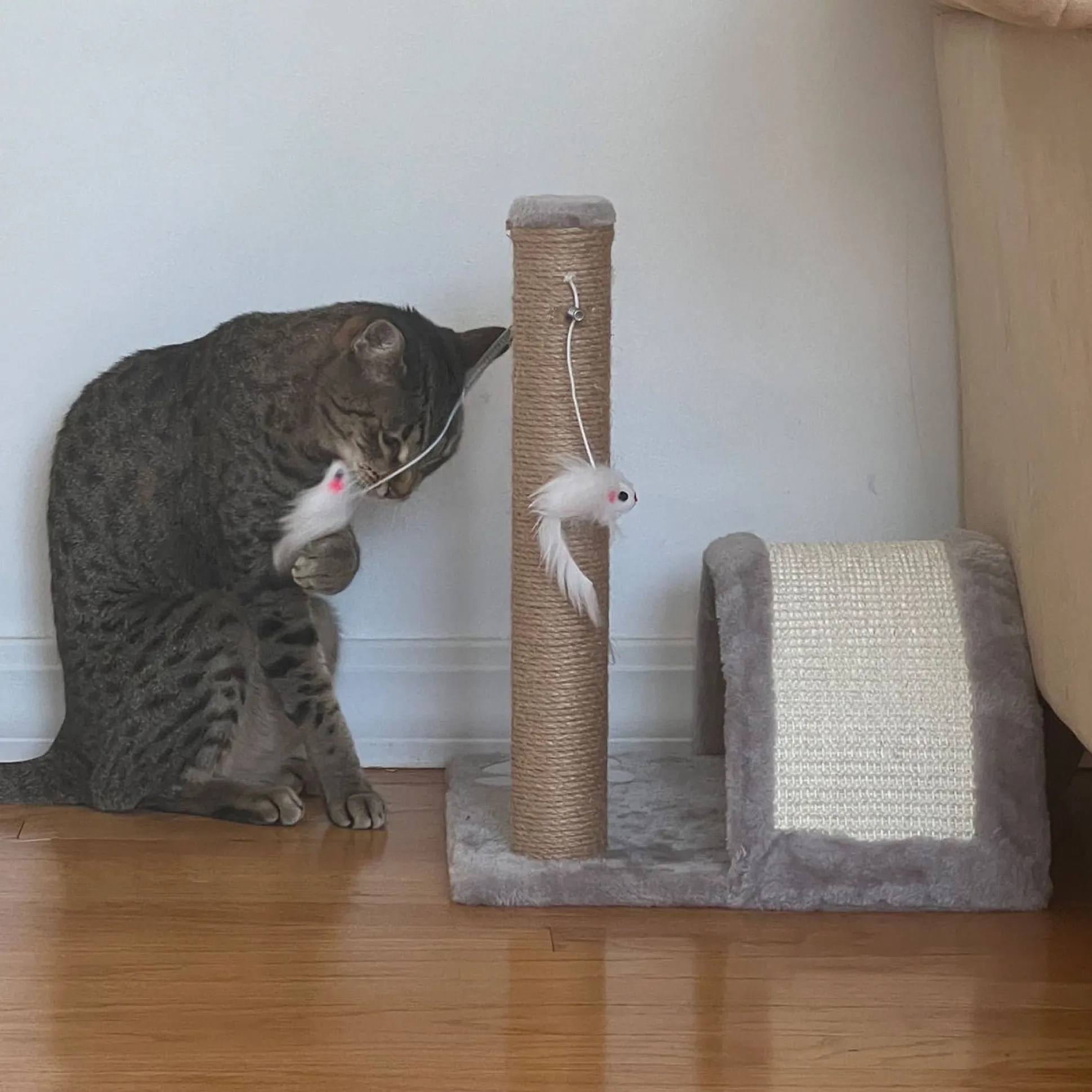 Meow Town Paw Bridge & Scratcher Pole